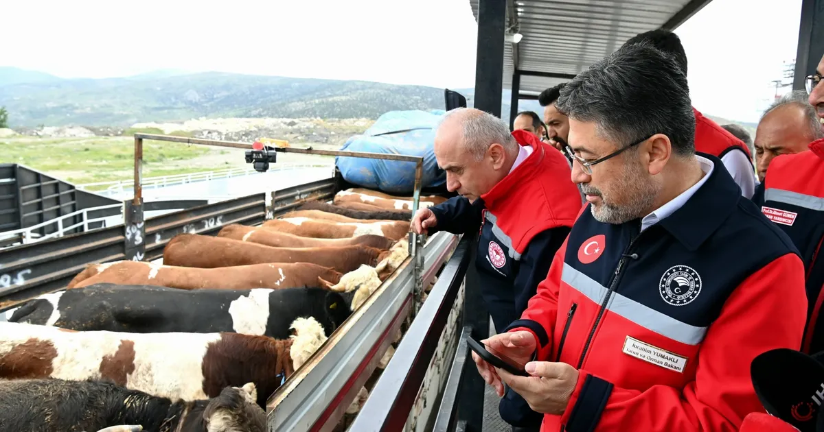 Kurbanlık Sevklerine 7/24 Denetim Uygulaması!