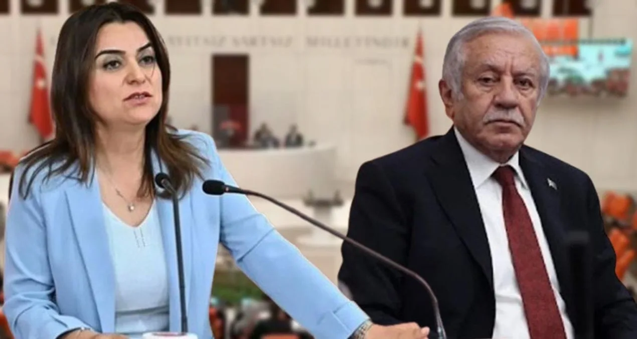 Kürtçe Konuşma TBMM’de Mikrofonu Kestirdi!