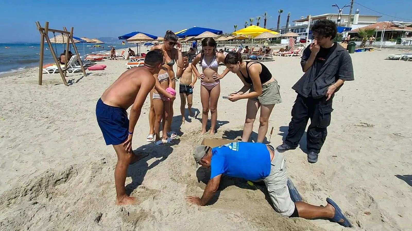 Kuşadası’nda Caretta Yumurtaları Güvenliğe Alındı!
