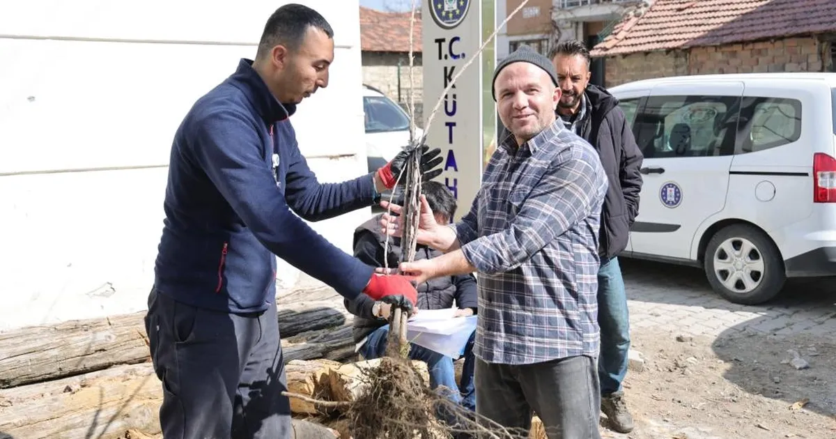 Kütahya’da Kiraz Fidanı Dağıtımı Coşkusu!