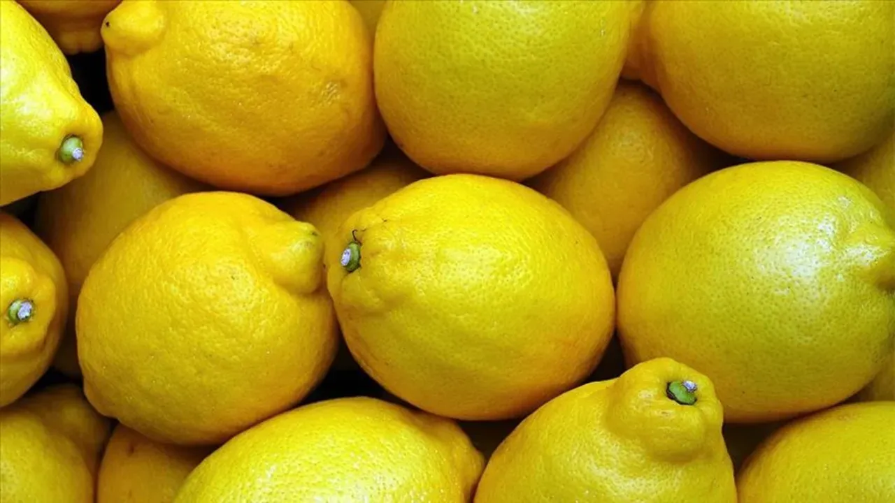 Limon İthalatında Gümrük Vergisi Yüzde 10’a Düştü