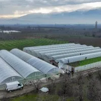 Lodostan zarar gören seralara Büyükşehir desteği