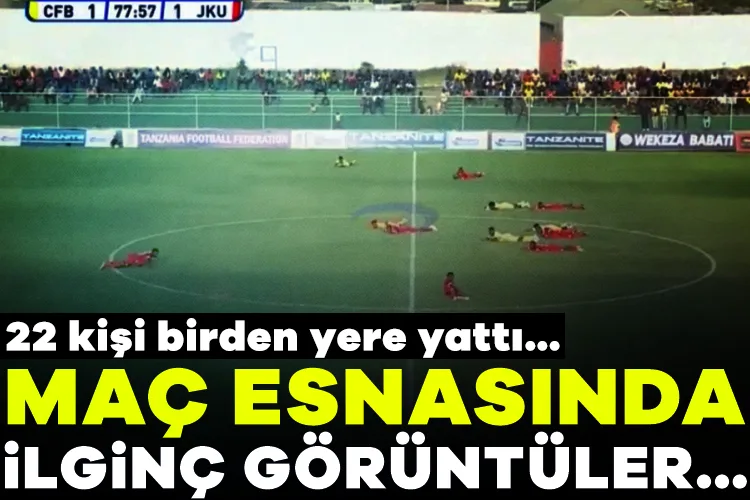 Maçta Arı Saldırısı! 22 Kişi Yere Yattı