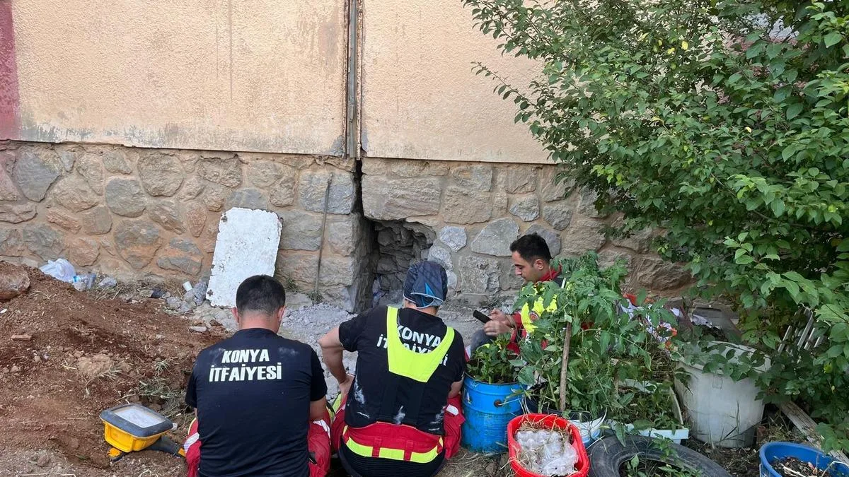 Mahallede Kedi Sesi, İtfaiye Ekibini Harekete Geçirdi