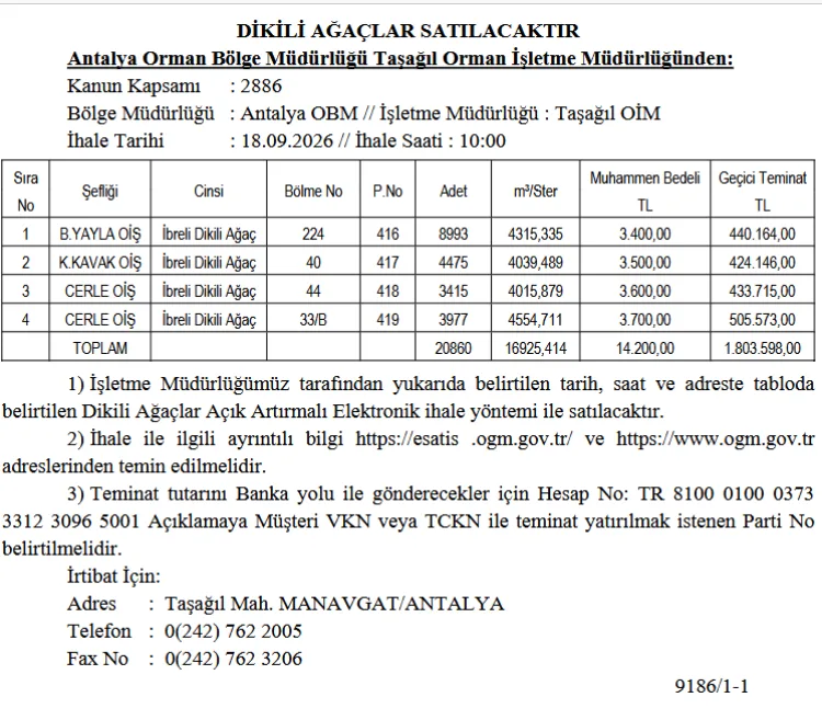 Manavgat’ta 16 Bin Ağaç Açık Artırmaya Çıkıyor!