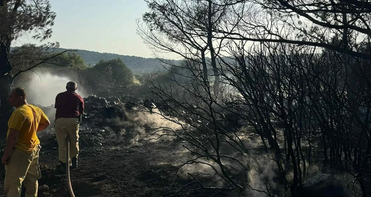 Mangal Sevdası Ormanı Ateşe Verdi: D.Ç. Tutuklandı!