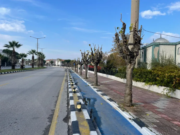 Ekipler Budama Çalışmalarını Sürdürüyor