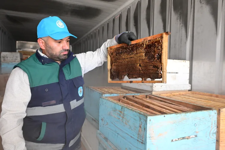 Manisa’da Arıcılara Eksi 30 Derecelik Koruma