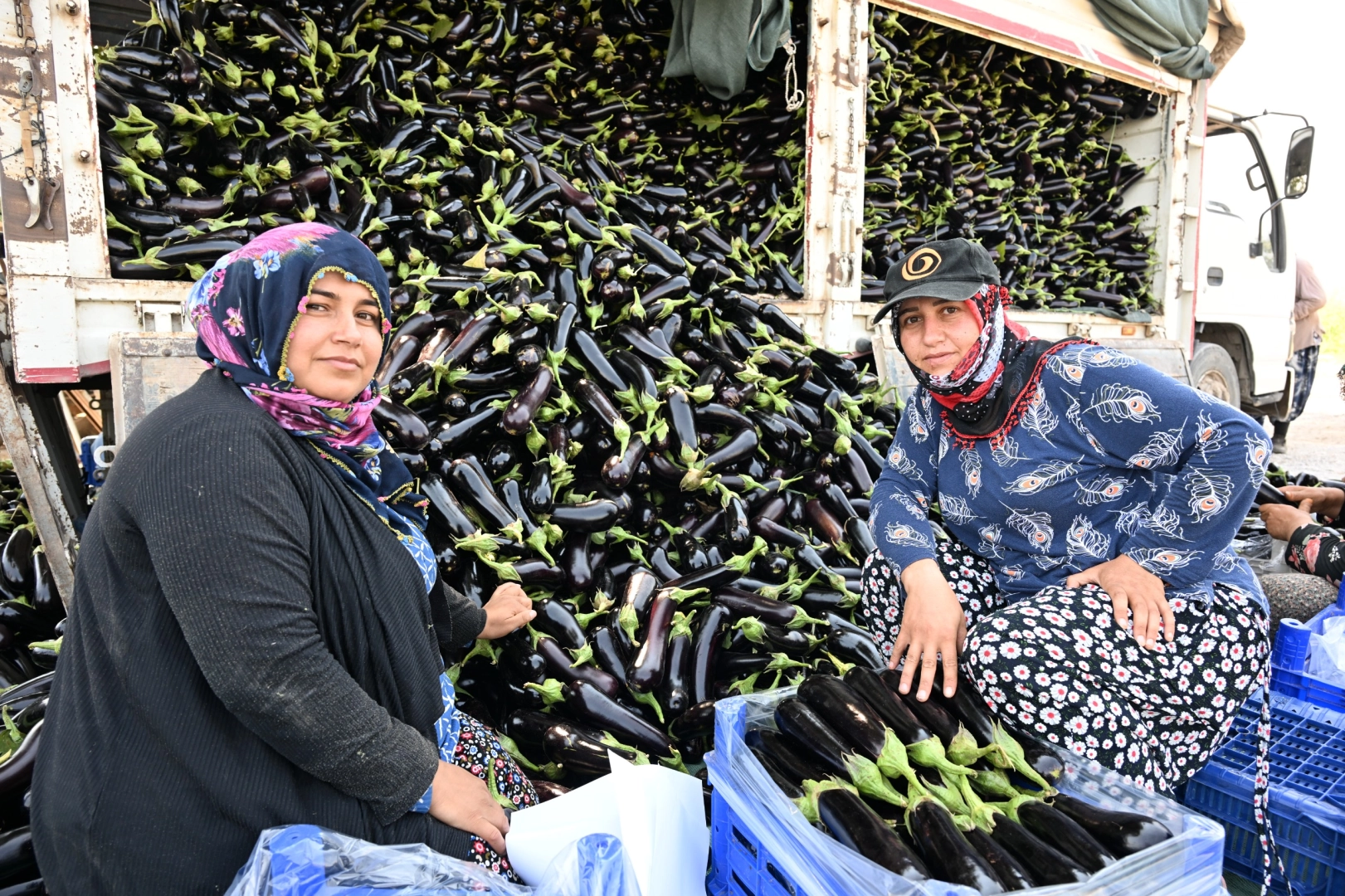 Manisa’da Çiftçiye Umut: Fidelerle Yeni Hasat!