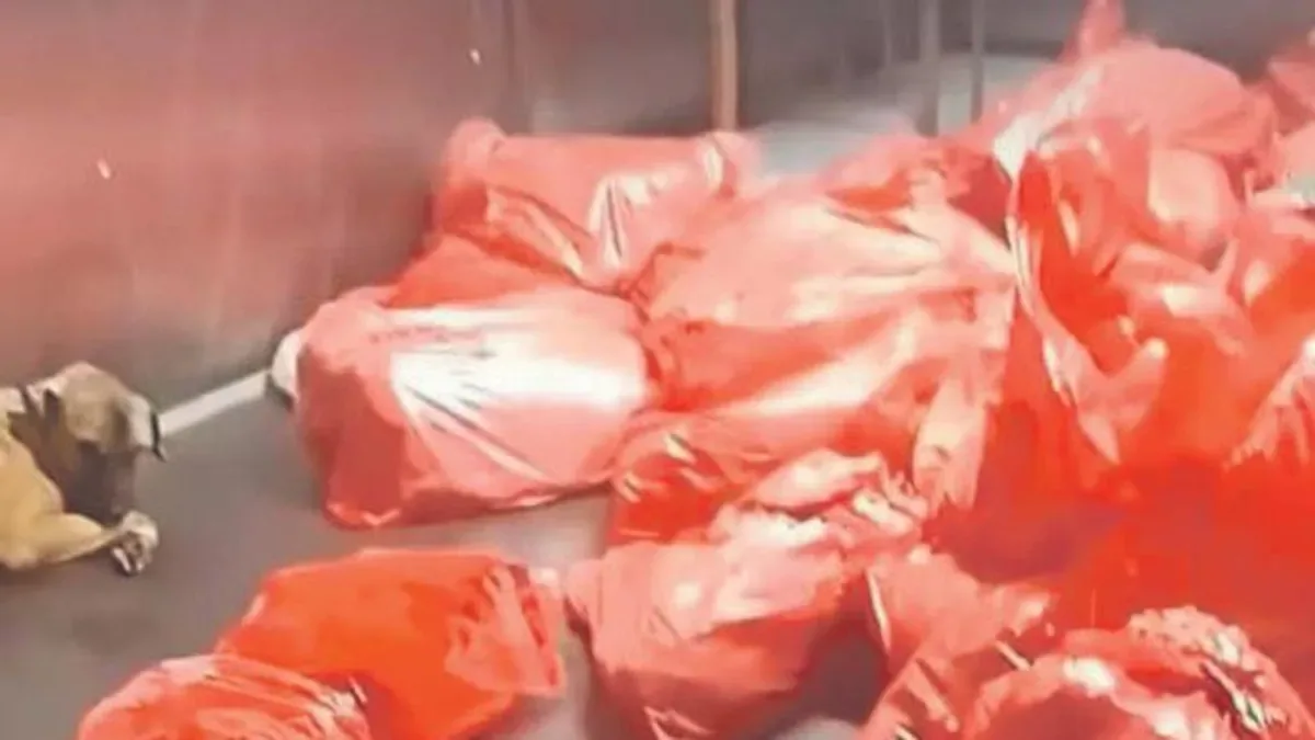 Mansur, Hayvanları Koruma Çağrısında Bulundu!