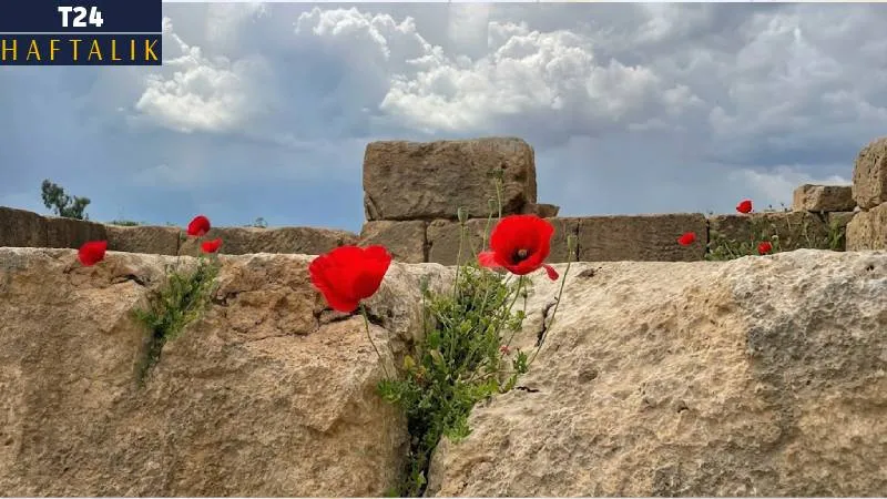 Mardin Bienali: Hayal ve Gerçek Arasındaki Eşik