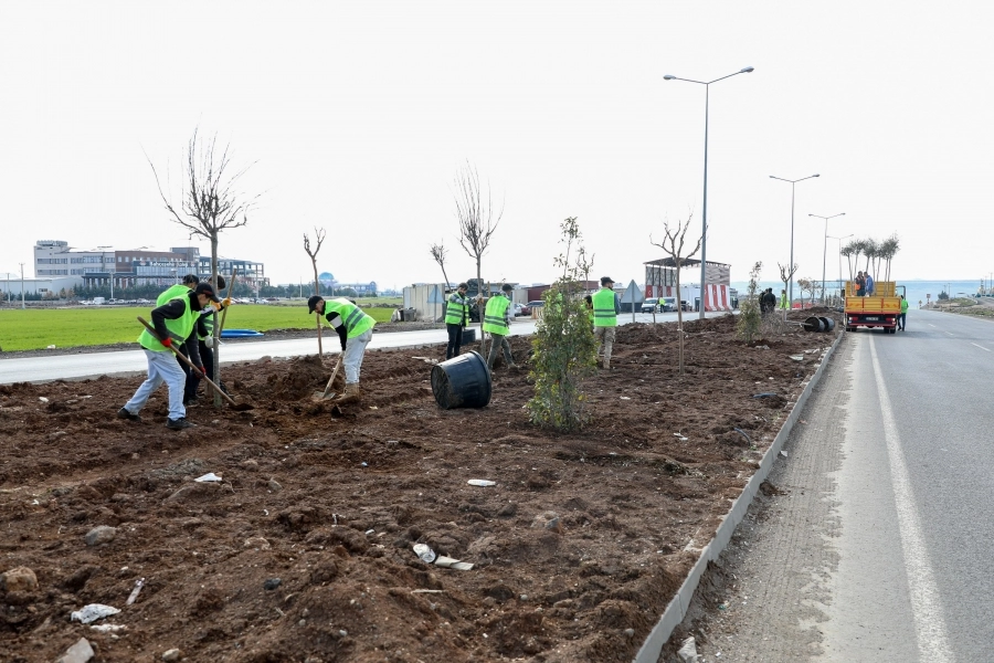 Mardin Yolu’nda Yeşil Dönüşüm Gerçekleşiyor