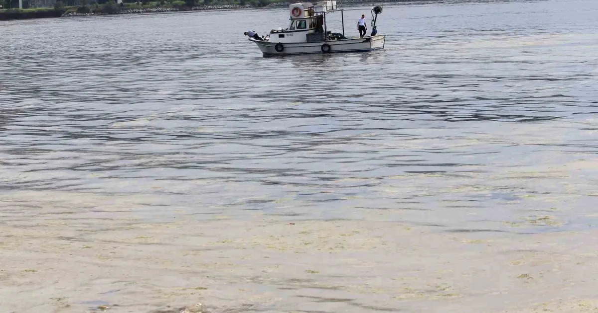 Marmara Balıkçılarına Müsilaj Desteği Müjdesi