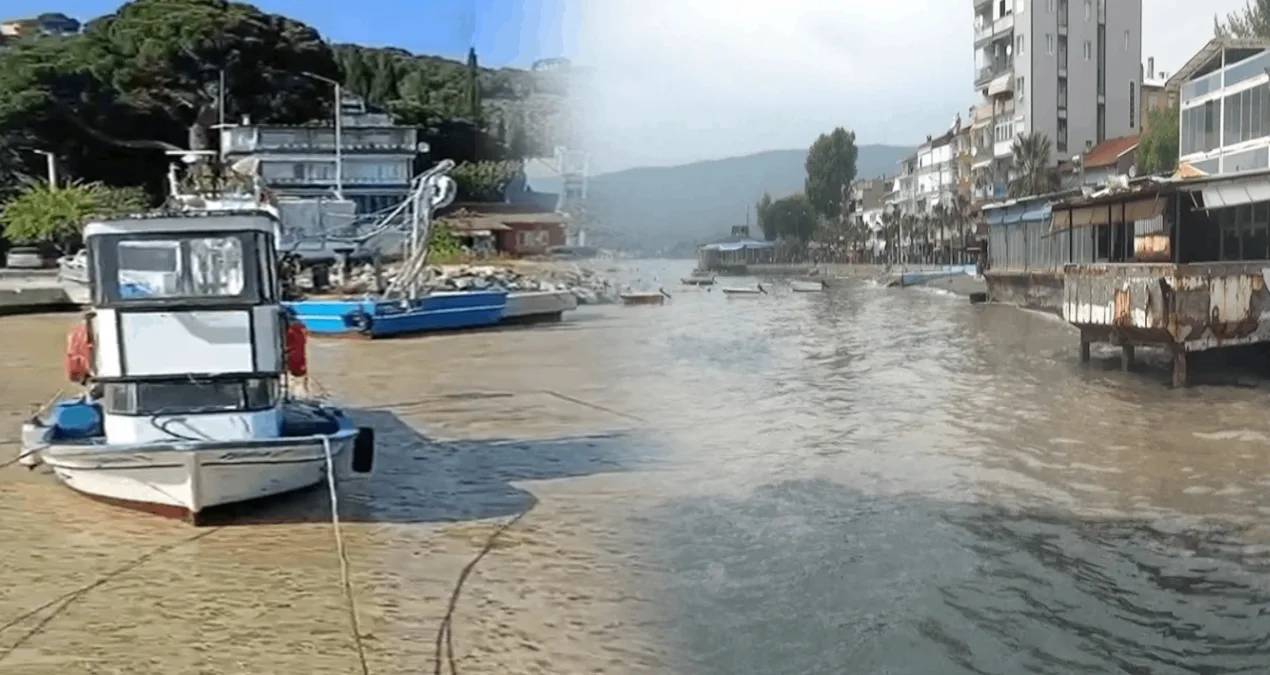 Marmara’da Müsilaj Tehlikesi Yeniden Başladı!