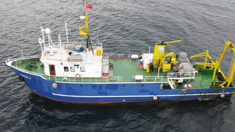 Marmara Denizi’nde Mercan Restorasyonu Başlıyor!