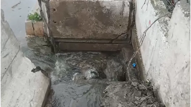Marmara’ya Taşkın: Çınarcık Belediyesi’ne 1,3 M TL Ceza