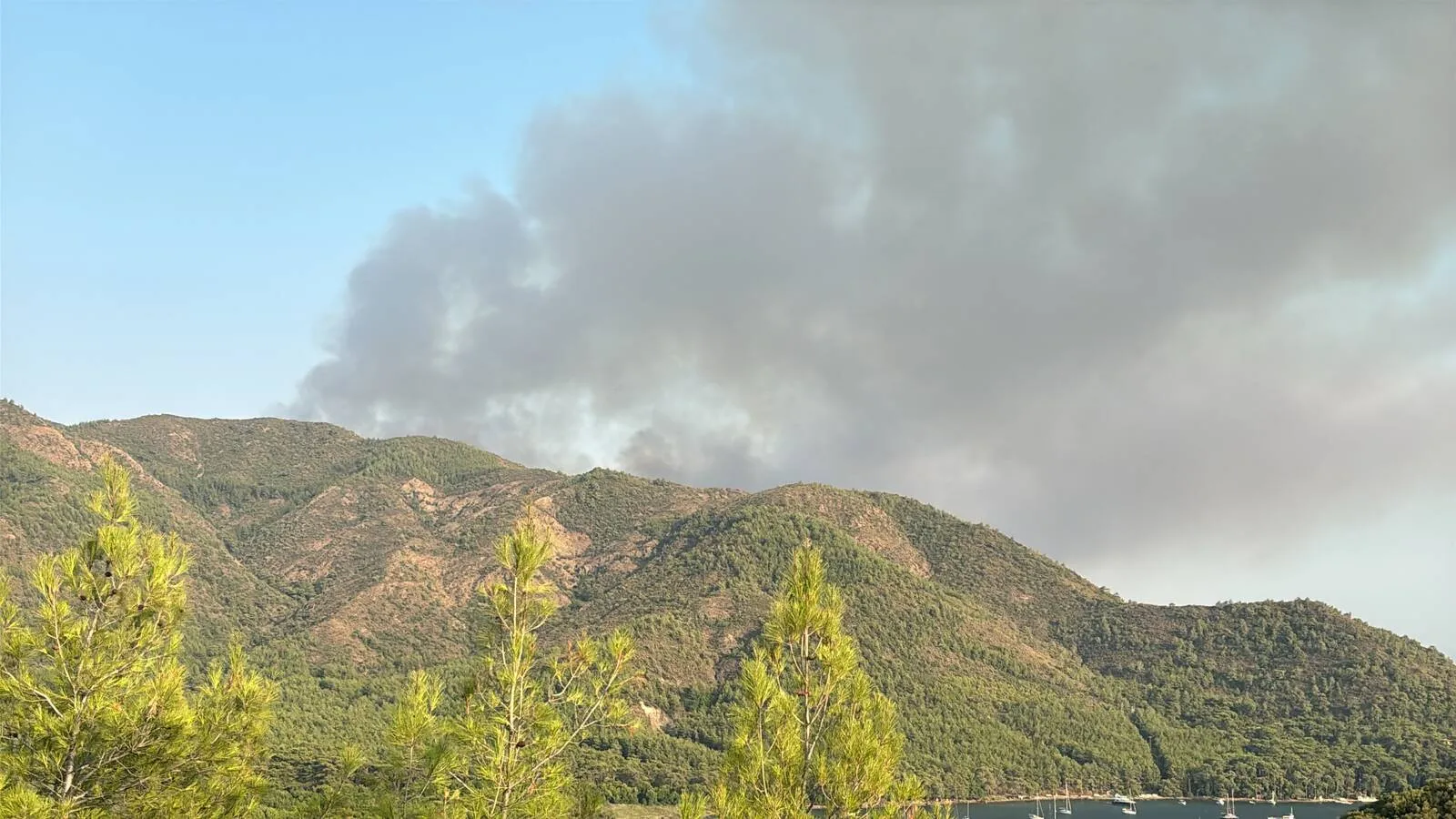 Marmaris’teki Orman Yangınına Yoğun Müdahale
