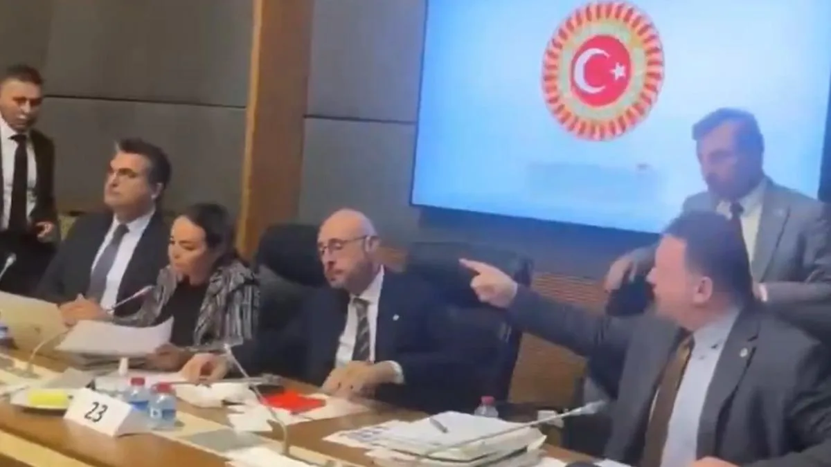 Mecliste ‘Pislik’ Tartışması: Türkeş Taş ve Bülbül