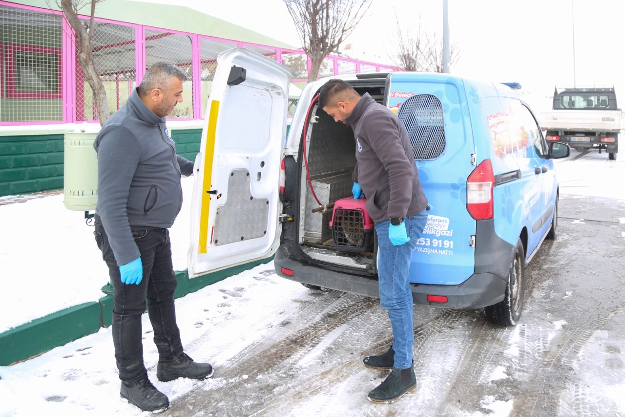 Melikgazi’nin Sevimli Dost Ambulansı 4.300 Hayvana Yardım