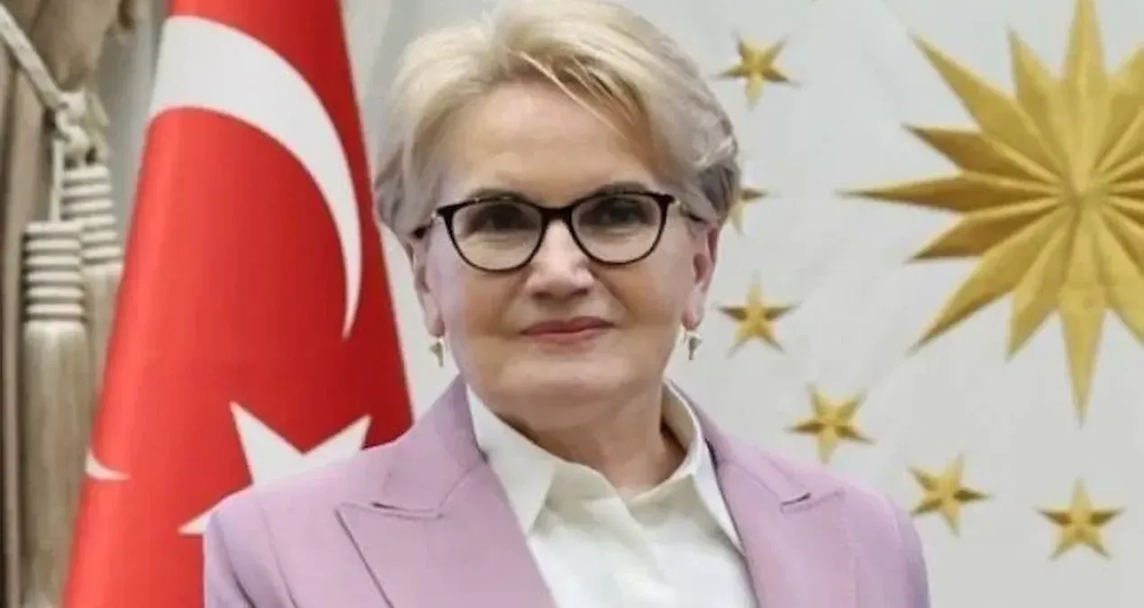 Meral Akşener’den Yumruklu Saldırıya Sert Tepki