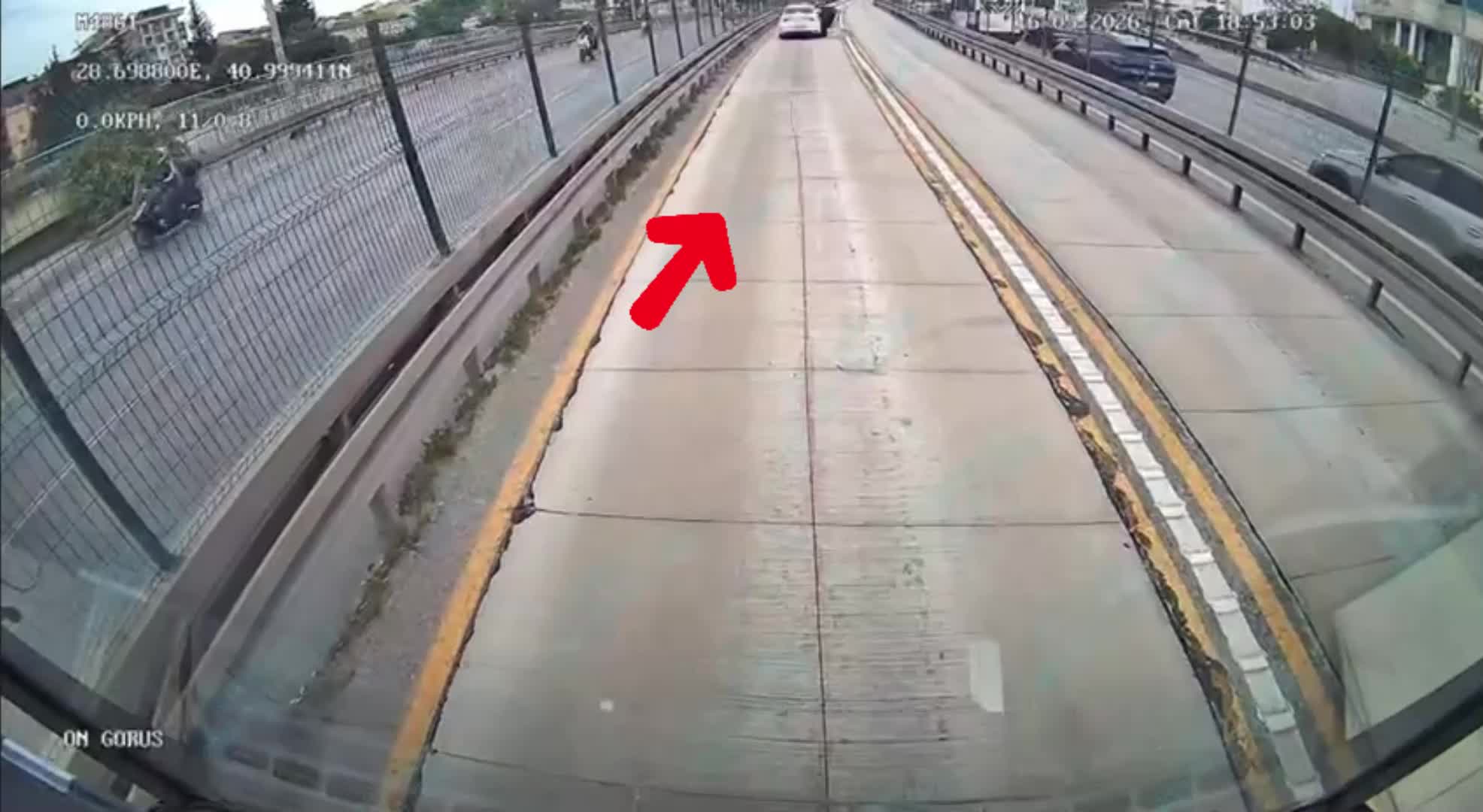 Metrobüste Yavru Kediler Kurtarıldı!