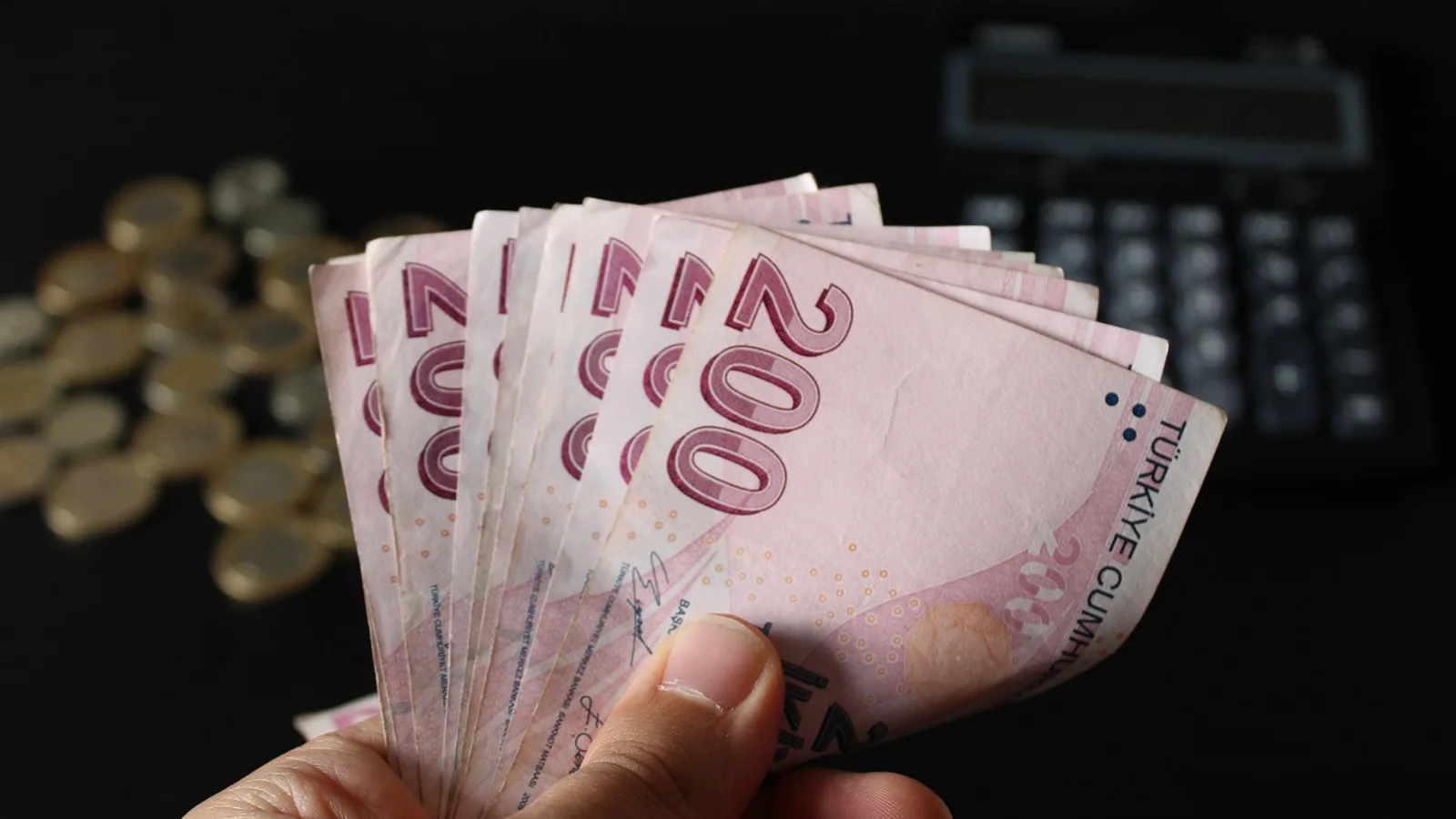 Mevduat Faizleri: 100 Bin TL’nin Getirisi Ne?