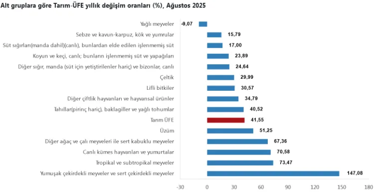 Meyve Fiyatlarında Rekor Artış: Yüzde 147,08!
