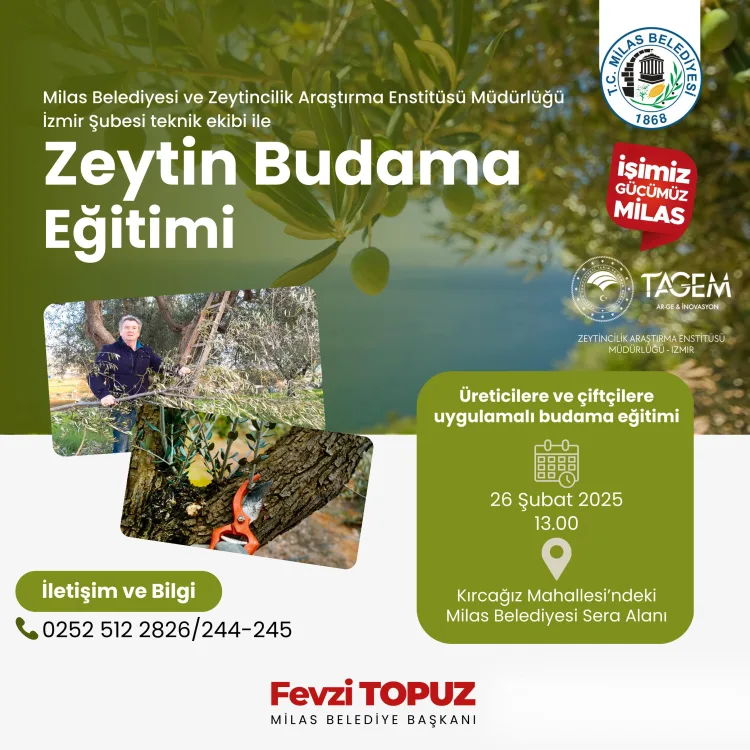 Zeytin Budama Eğitimi