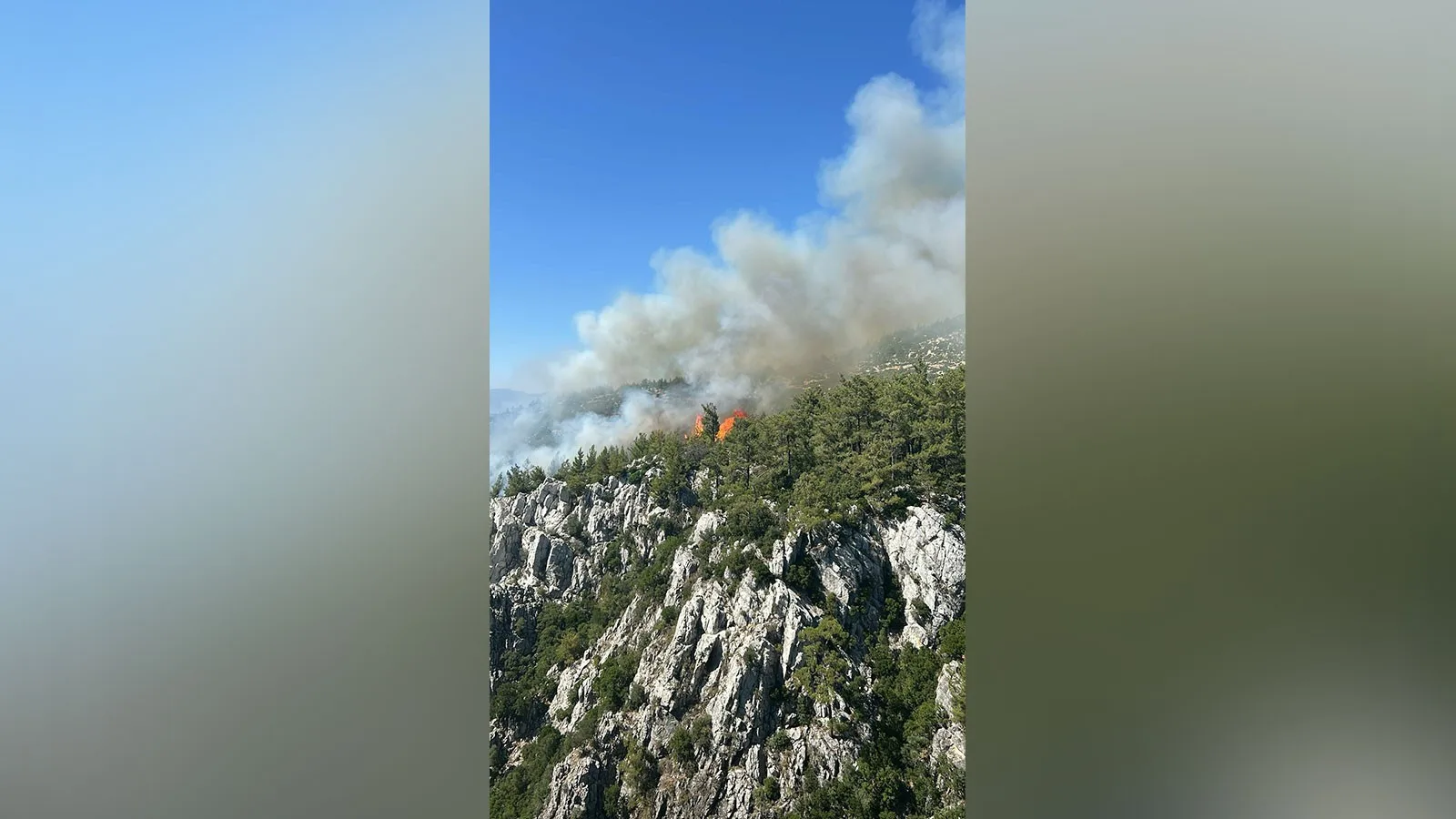 Milas’ta Orman Yangınına Hızla Müdahale Ediliyor!