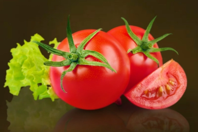 Milas’ta Ücretsiz Yerel Tohum Dağıtımı Başladı!