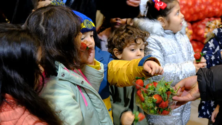 Minikler Sebze ve Meyve Hali’nde Yerli Malı Öğrendi