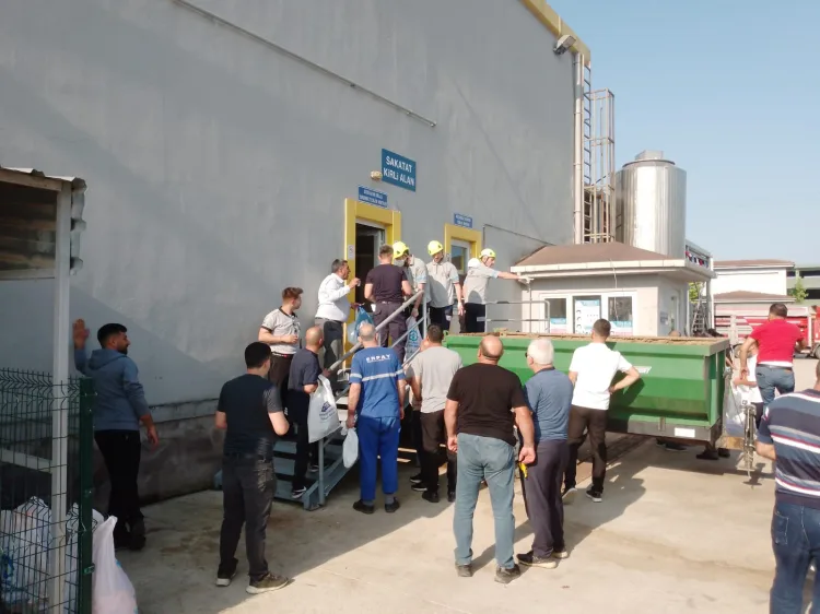Modern Mezbahada Kurban Kesimi Hijyenle Yapılıyor