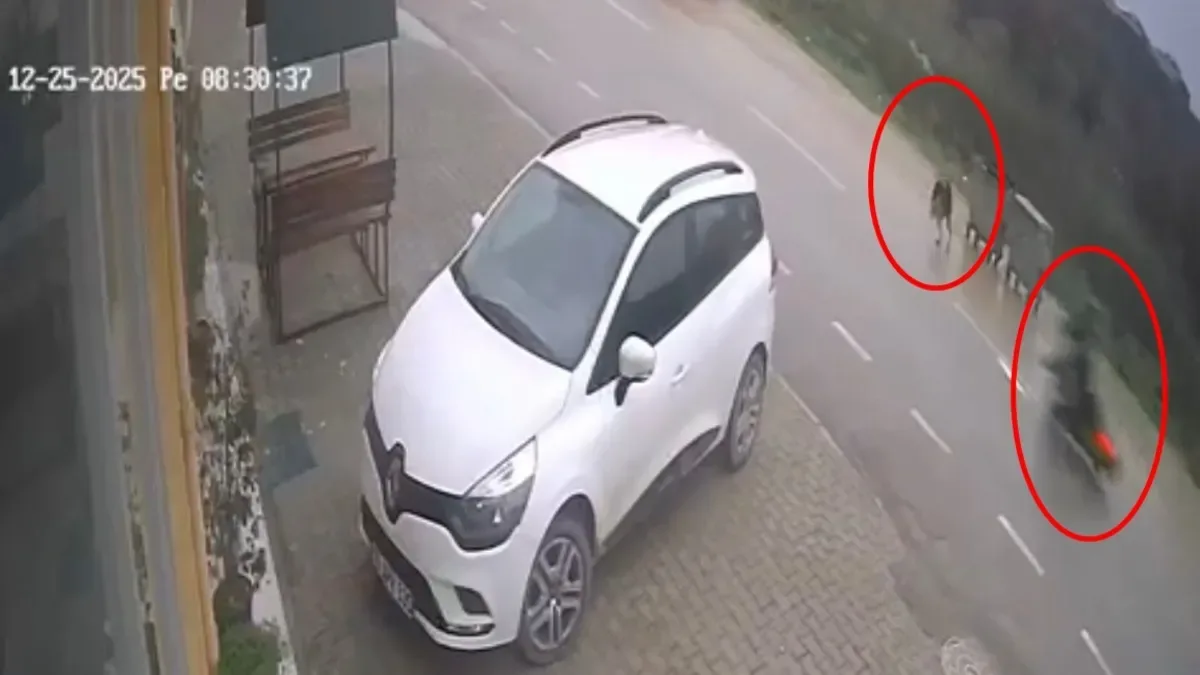 Motosiklet Kazası: Sokak Köpeği Panik Yarattı!