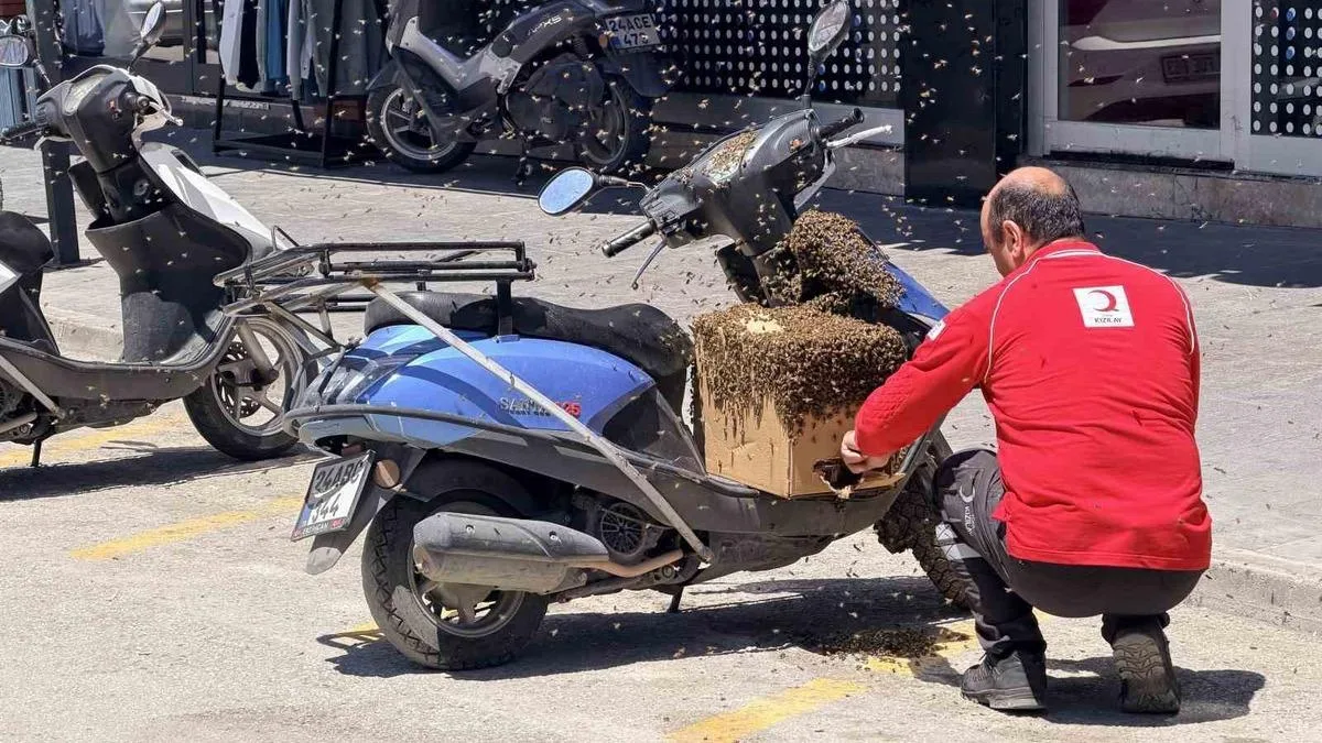 Motosiklet Üzerindeki Bal Arıları İlgi Odağı Oldu