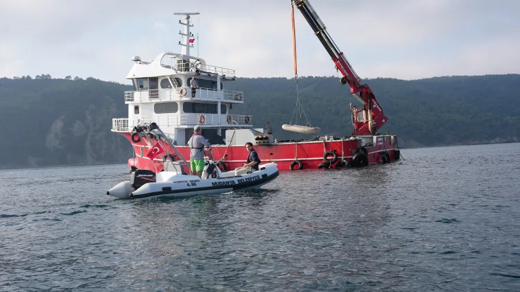 Mudanya’da Midye Çiftliği Projesi Başladı!