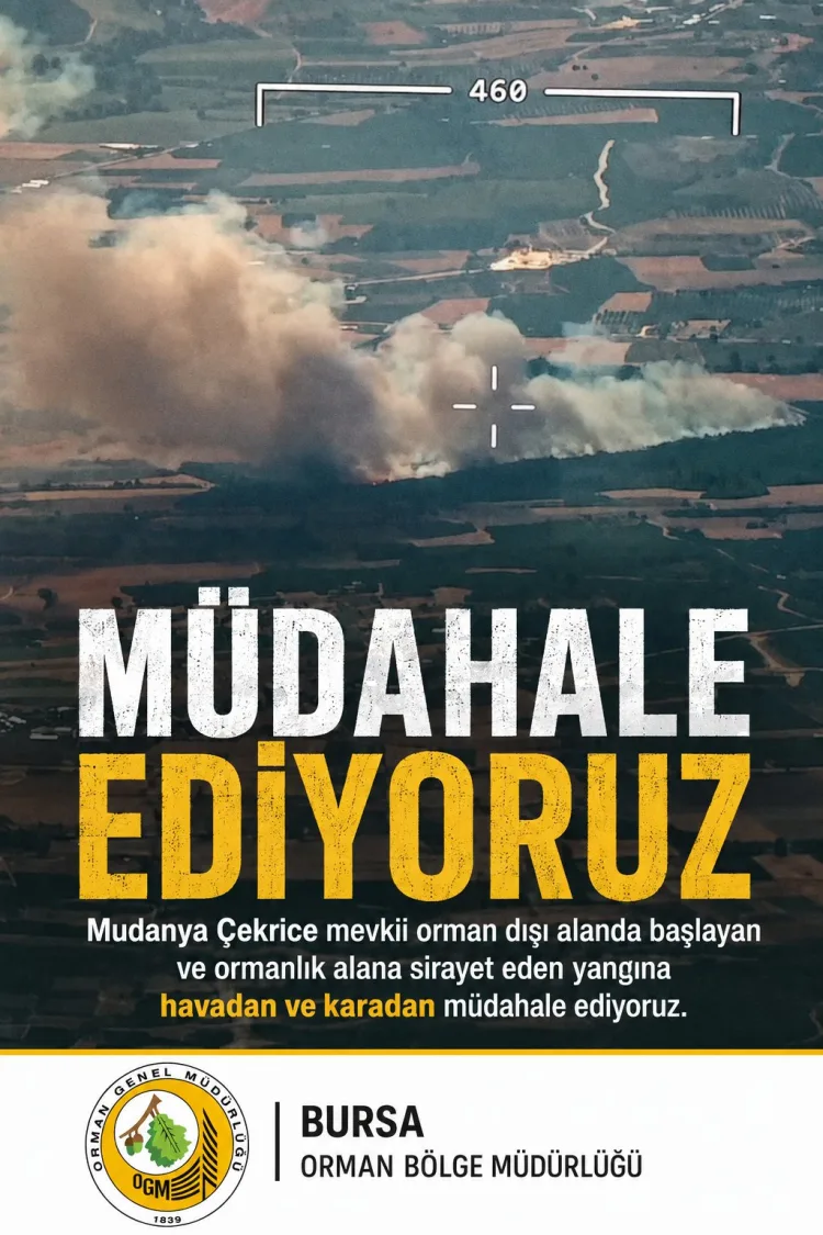Mudanya’da Orman Dışı Alanda Yangın Çıktı!