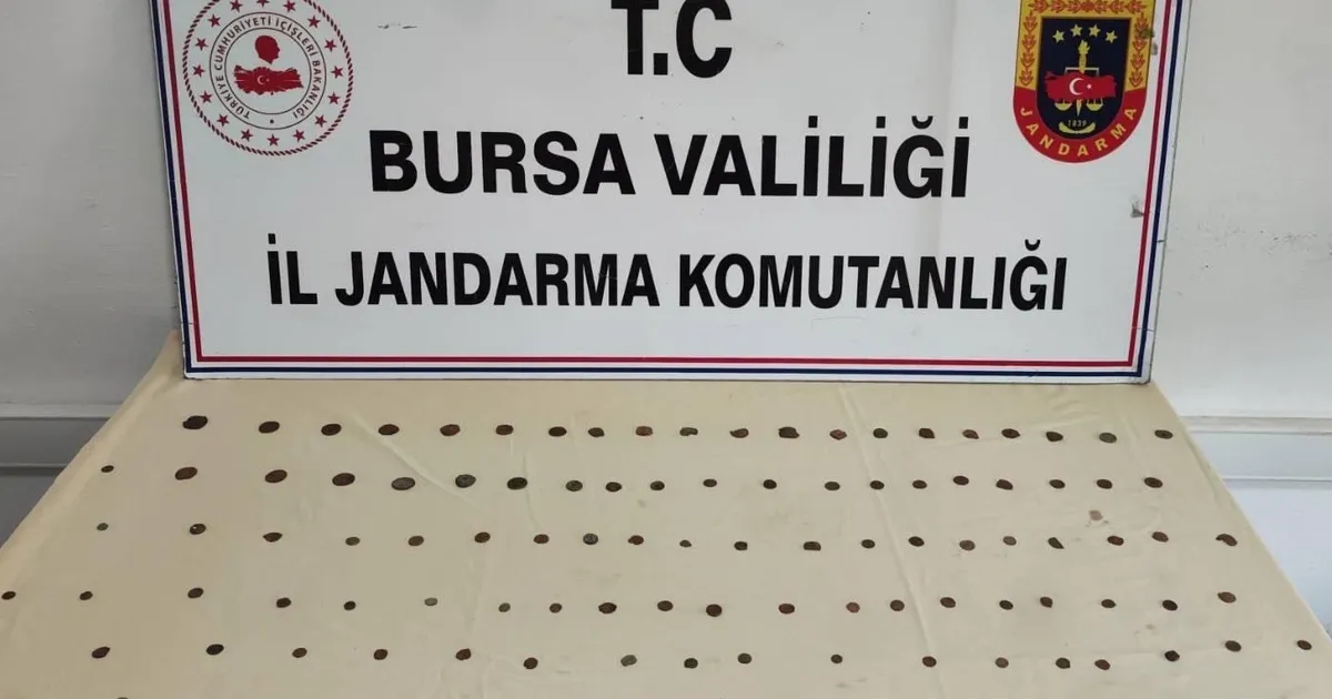Mudanya’da Tarihi Eser Operasyonu: 2 Gözaltı!