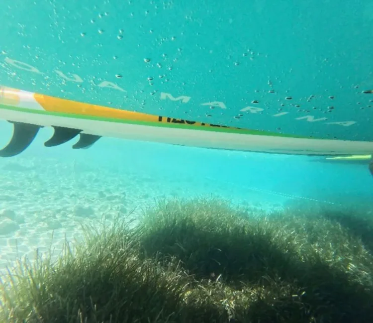Muğla’da Deniz Çayırları Koruma Projesi Başladı