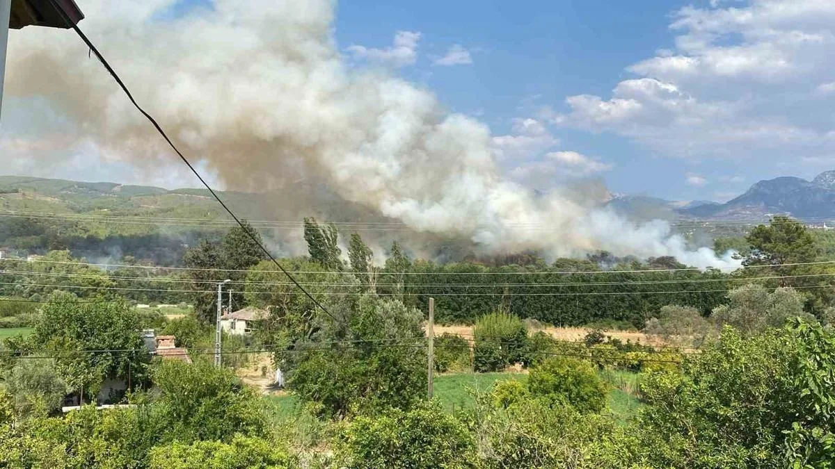 Muğla’da Orman Yangınına Hızlı Müdahale!