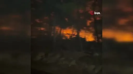 Muğla'da orman yangınına müdahale devam ediyor