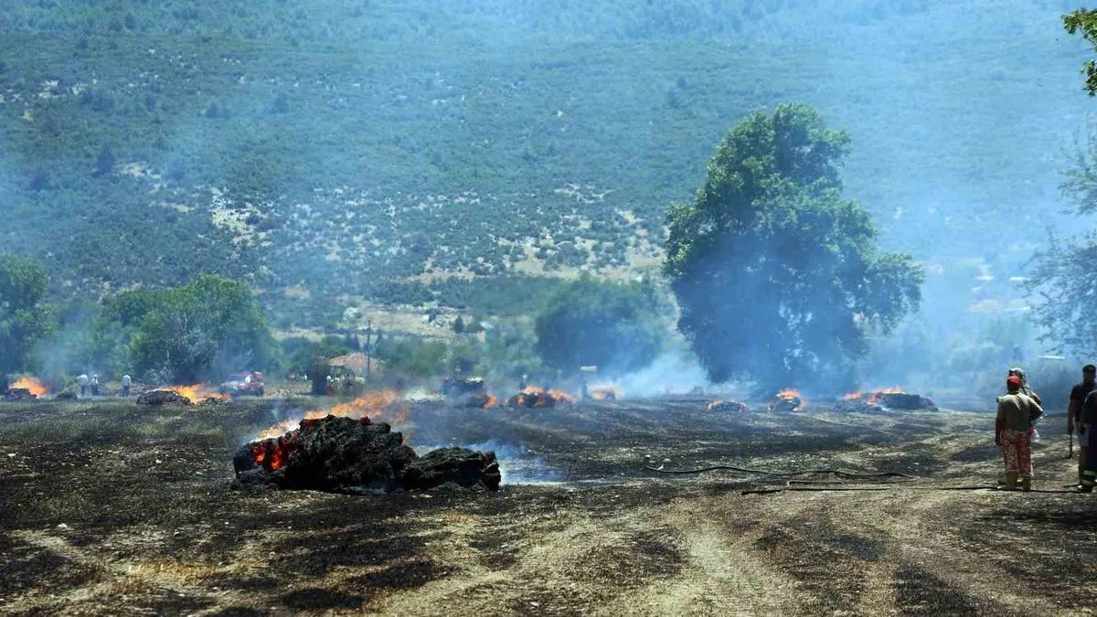 Muğla’da Tarlada Yangın: Tonlarca Saman Yandı!