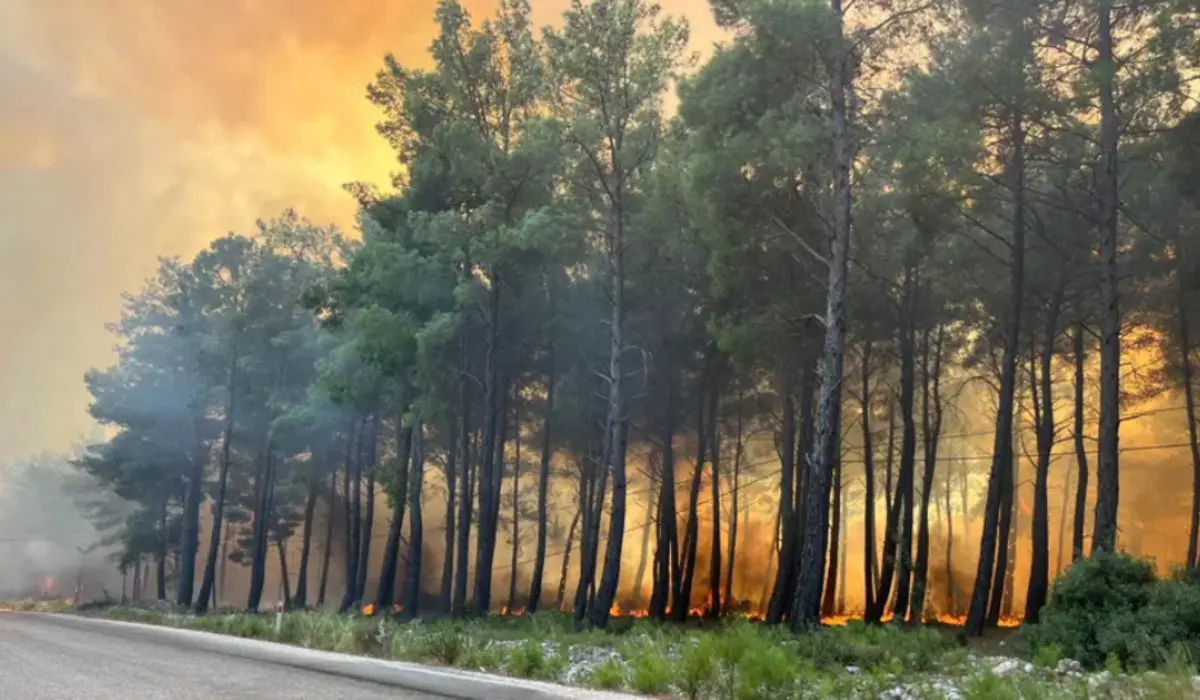 Muğla da başlayan orman yangını Antalya ya sıçradı! Saklıkent kapatıldı 2