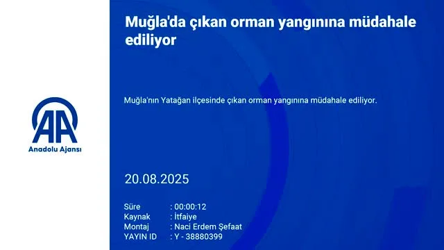 Muğla'da yangınla mücadele! Ekiplerin mücadelesi sürüyor...