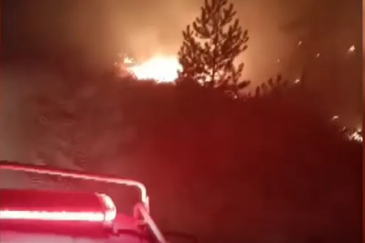 Muğla’da Yangınla Mücadele Devam Ediyor!