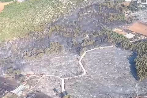 Muğla’daki Yangın Kontrol Altına Alındı