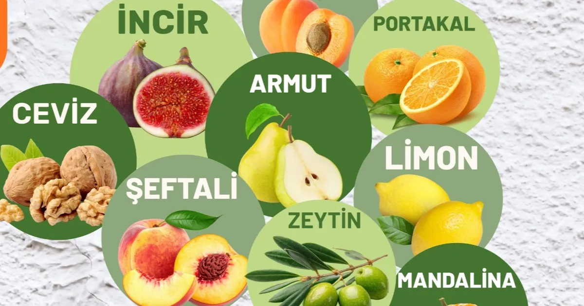 Muğla Milas’ta Üreticilere Fidan Desteği!