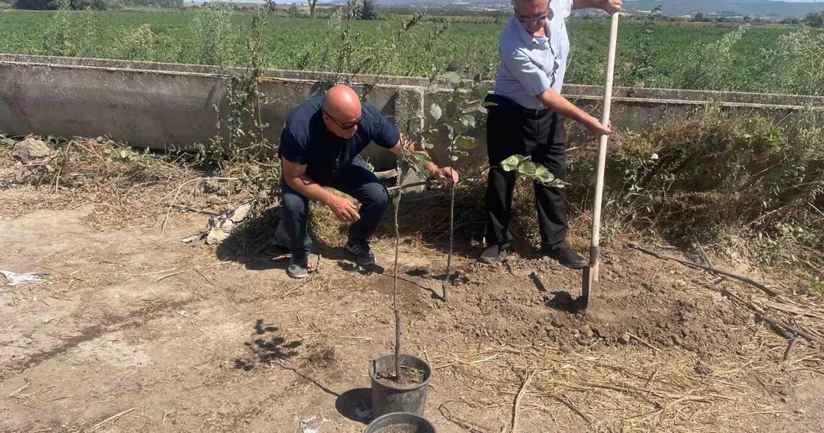 Mustafakemalpaşa’da Ağaç Sevgisiyle Fidan Seferberliği