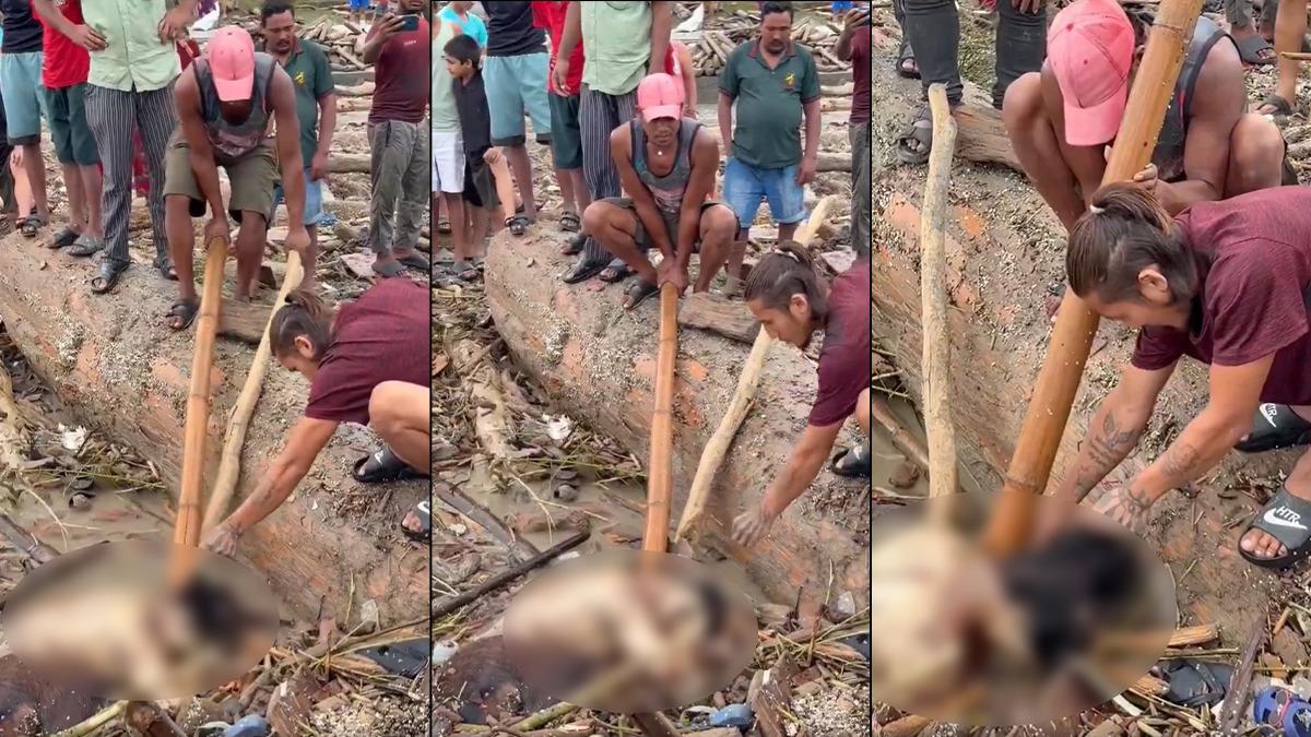 Nepal’deki Sel Felaketi: 165 Ölü, 826 Kayıp!