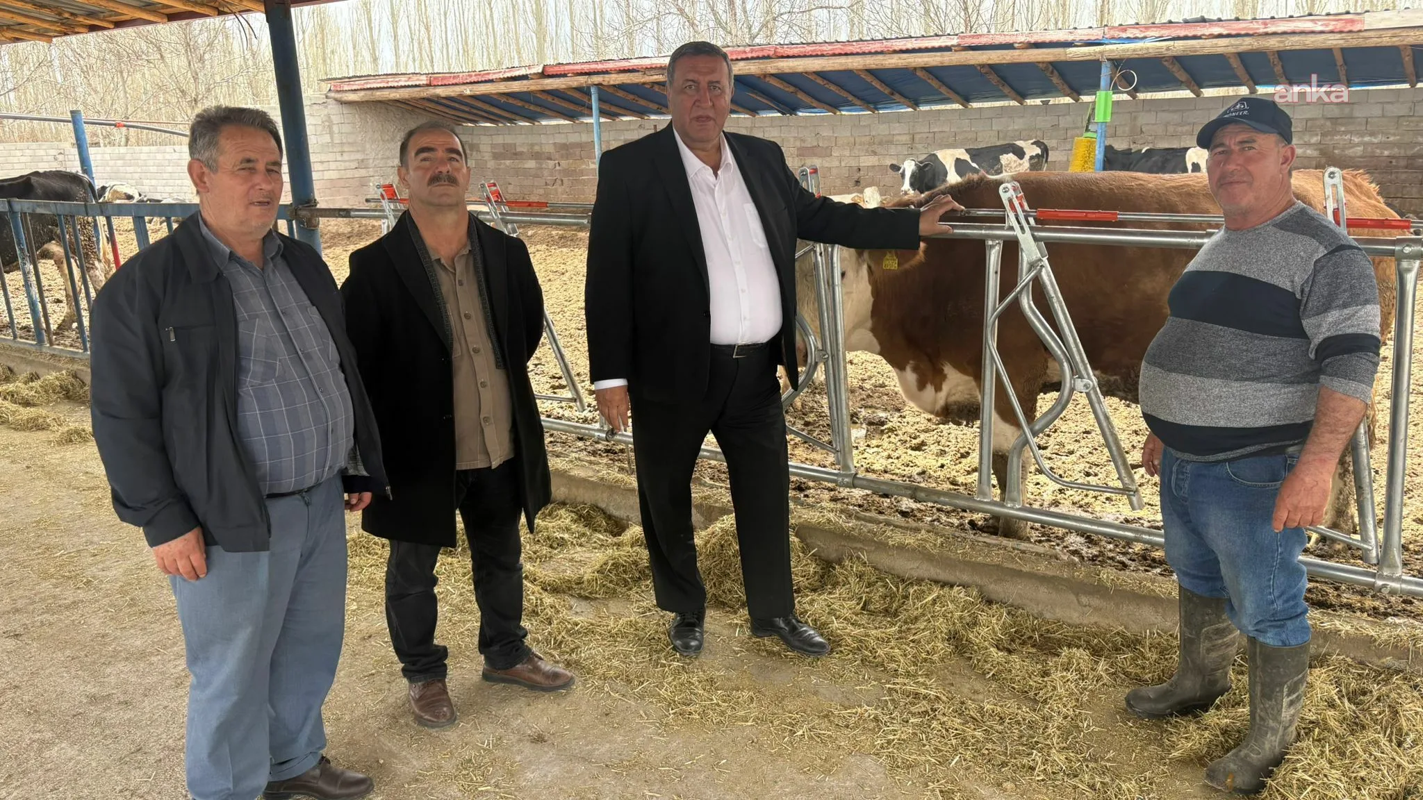 Niğde’de Süt Üreticileri Zor Günler Geçiriyor