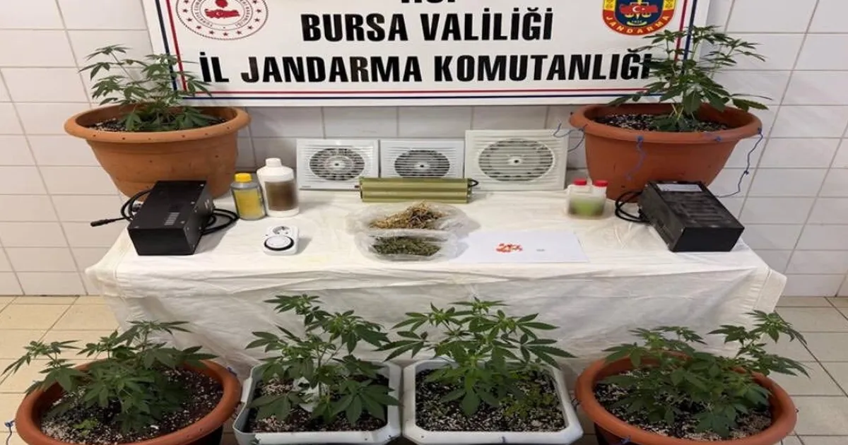 Nilüfer’de Jandarmadan Uyuşturucu Baskını!